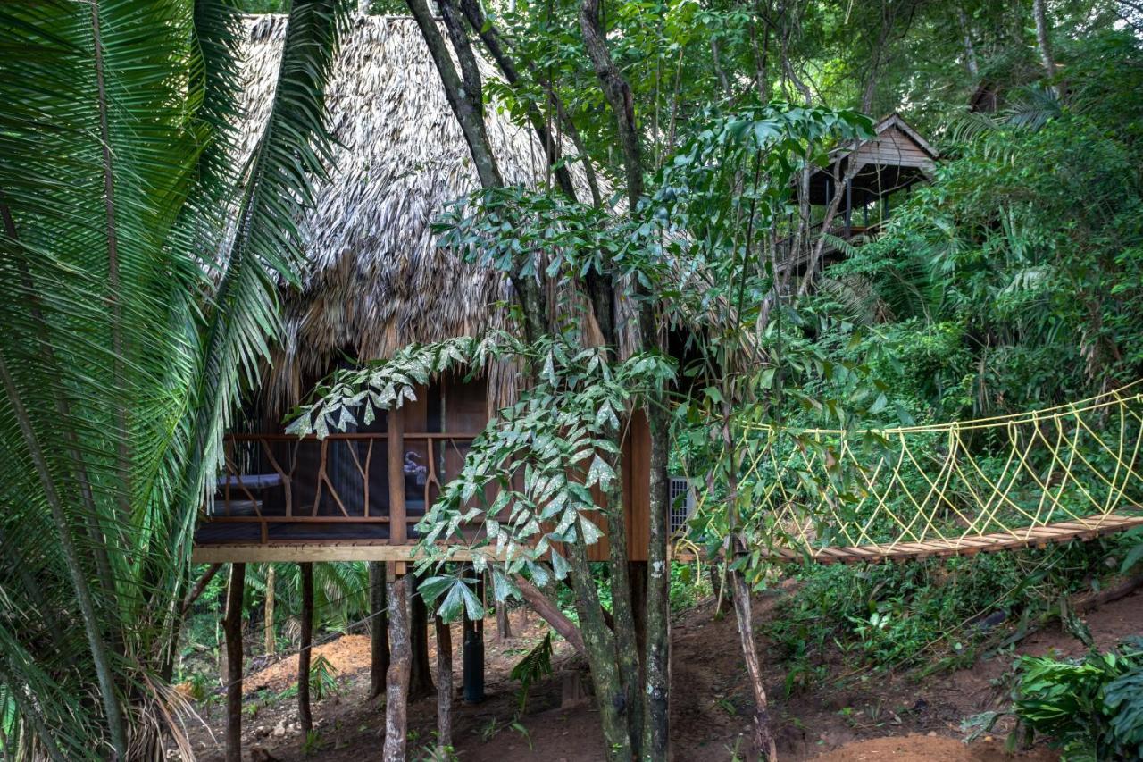 Sweet Songs Jungle Lodge San Ignacio Dış mekan fotoğraf