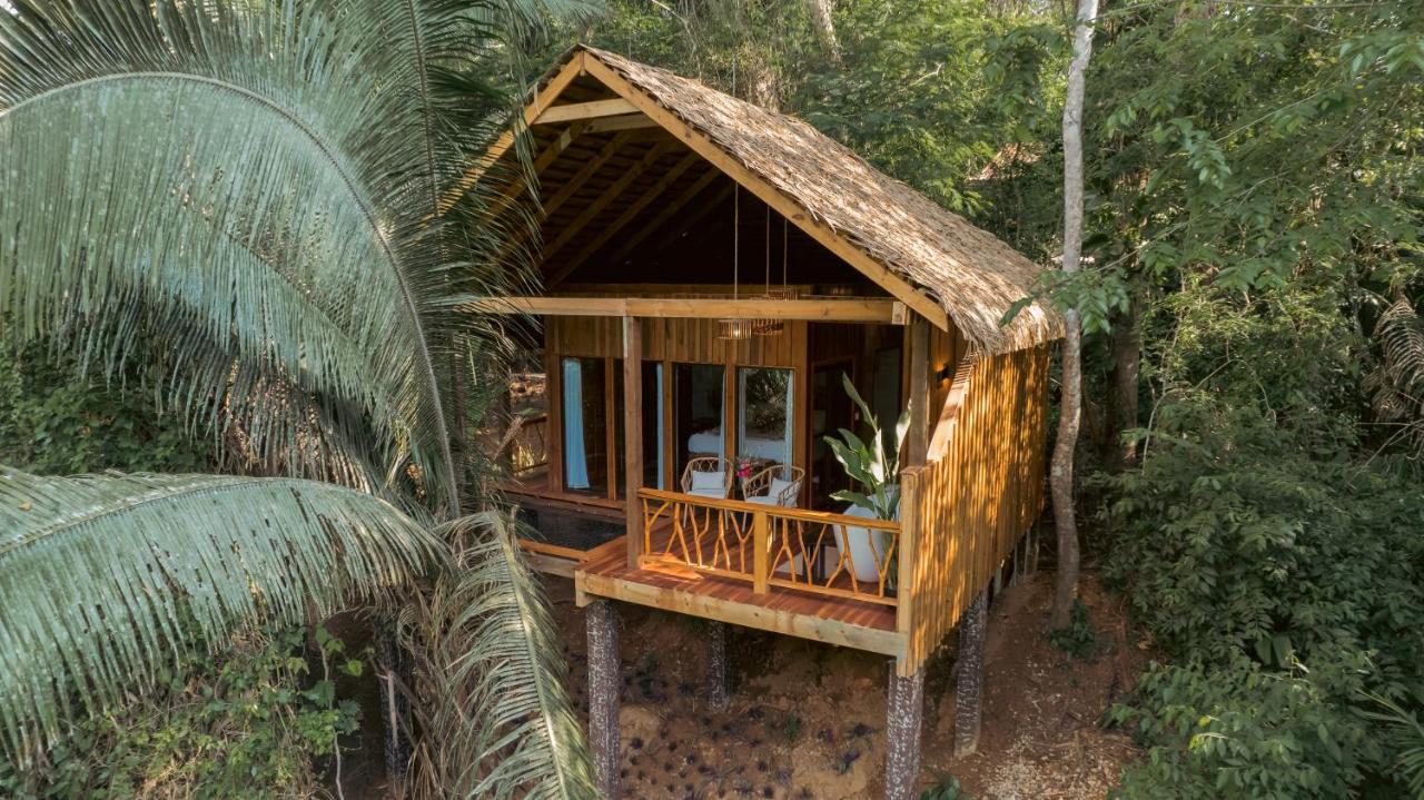 Sweet Songs Jungle Lodge San Ignacio Dış mekan fotoğraf