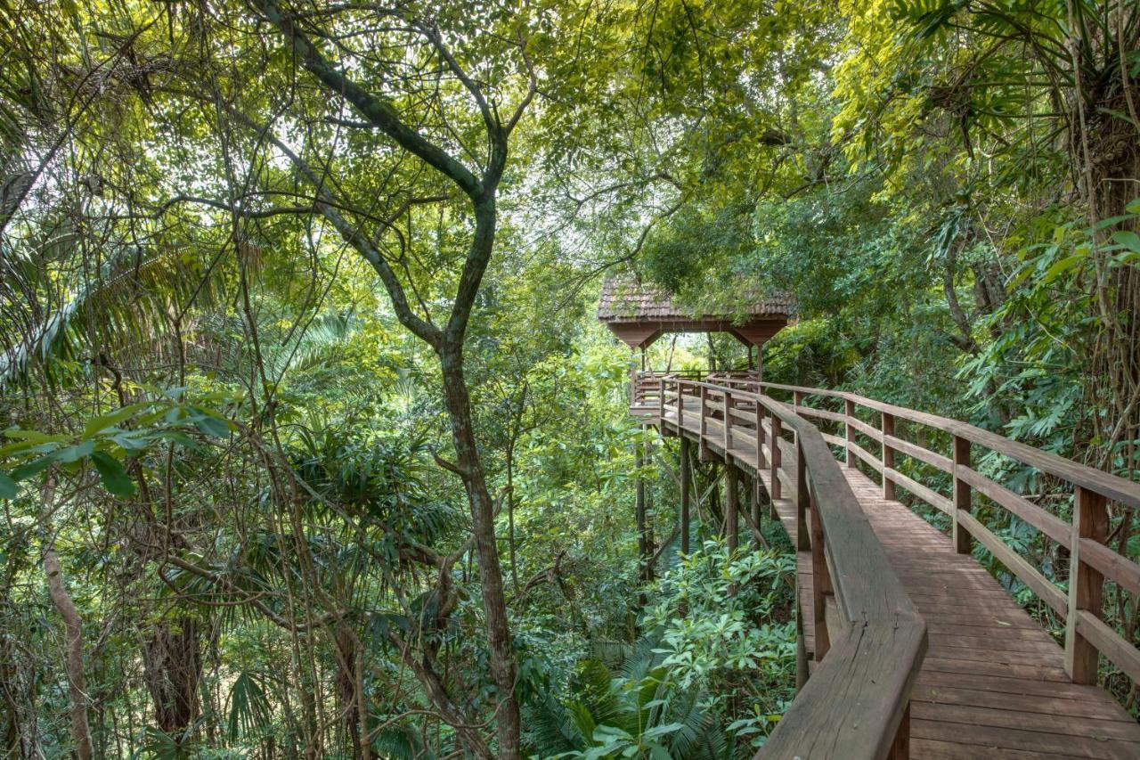 Sweet Songs Jungle Lodge San Ignacio Dış mekan fotoğraf
