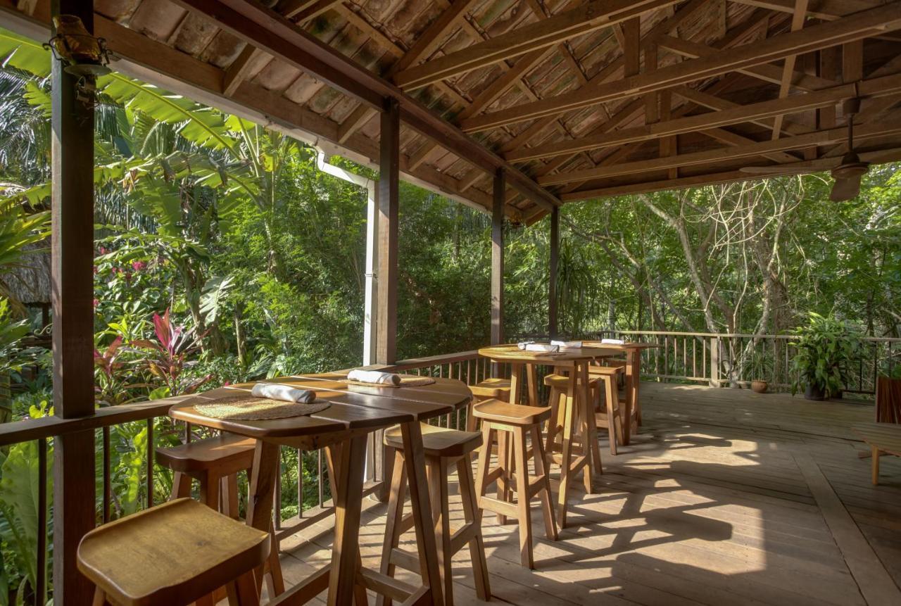 Sweet Songs Jungle Lodge San Ignacio Dış mekan fotoğraf